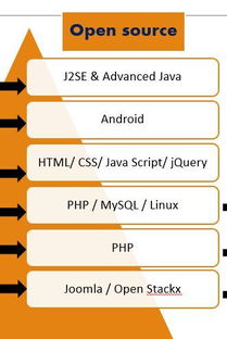 大學軟件工程專業中的外包服務分方向 機遇、挑戰與人才培養路徑