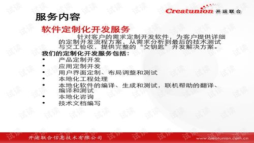 軟件外包公司章程